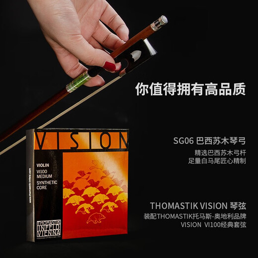 克莉丝蒂娜（Christina）欧洲原装进口小提琴EU4000B考级进阶演奏成人学生乐队乐团乐器 4/4身高155cm以上