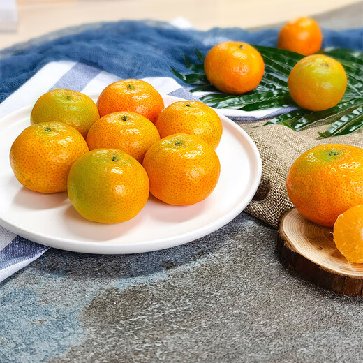 Golden Autumn Tangerine 450g directly harvested from the place of production