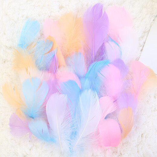 Haofanjie Feather White Decoration Props Ornaments Children's Handmade DIY Material Colorful Feather Pointed Down Imitation Goose Feather Pointed Down Down Approximately 8-15cm Long 50 Pieces