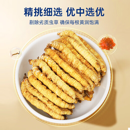 紫蓝花海冬虫夏草 全虫断草20g (36-40根)断虫草自用实惠【健康礼盒】