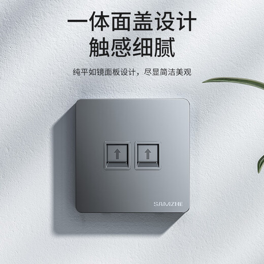 Shanze network cable network port network panel Universal Category 5/6/7 module thickened 86 type panel suitable for computer room network socket two-digit gray SZ-MB02H