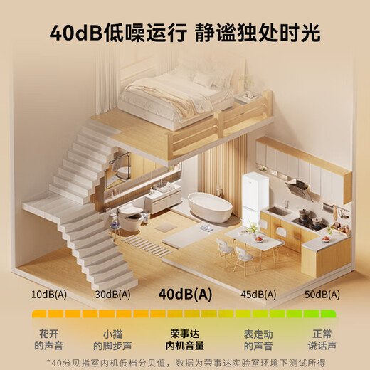 Royalstar 183 liter small refrigerator small home rental room office dormitory double door two door double door two door refrigerator energy saving bass white BCD-183L9RSZ