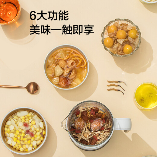 LIFE ELEMENT Health Pot Mini Tea Maker Tea Kettle Decoction Pot Electric Tea Kettle Kettle Electric Kettle Health Cup 0.6L Smart I13-H02