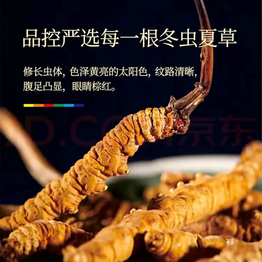 Cordyceps sinensis, los cordyceps de gran altitud en las áreas tibetanas son asequibles para el uso de autoego, regalos navideños, cajas de regalo, 3 palos/gramos (50 palos de regalo)