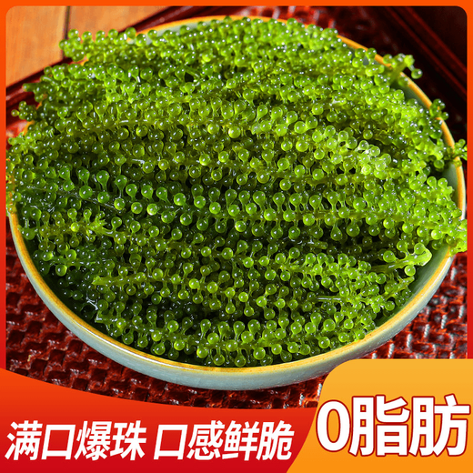 盐渍海葡萄泡发食用 儿童海藻菜海洋蔬菜海草 海葡萄100g*10袋【送芥末酱油】