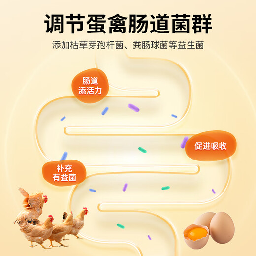 Dairy products Egg Duoduo Zengdanbao laying hens, ducks, geese, quails, rutin, chickens and pigeons with large and prolific egg-laying animal feed additives Danduoduo 500g/bag Mixing material 2000Jin Jin is equal to 0.5kg