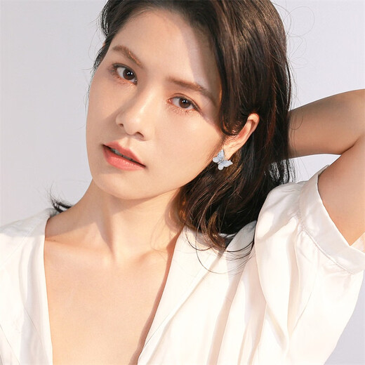 Qlady crystal butterfly temperament earrings women's sterling silver earrings new 2025 high-end silver earrings unique earrings