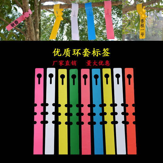 Shipton PVC waterproof ring set flower plant label seedling gardening label plastic orchid label ring buckle tag ring set - green (100 photos)