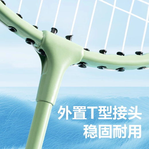 得力（deli）羽毛球拍套装初学者入门级成人专业耐打羽毛拍女生合金超轻正品 尊贵专业级 贈尼龙球3个