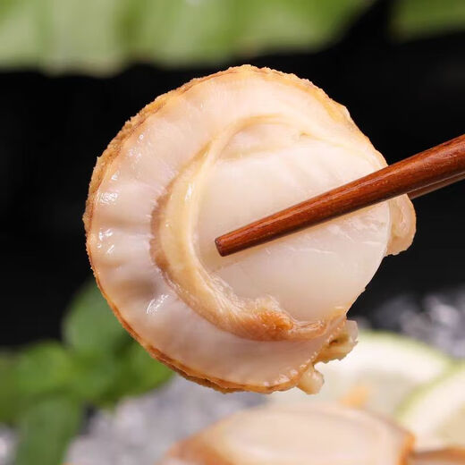 Chilled Ezo scallop meat 200g