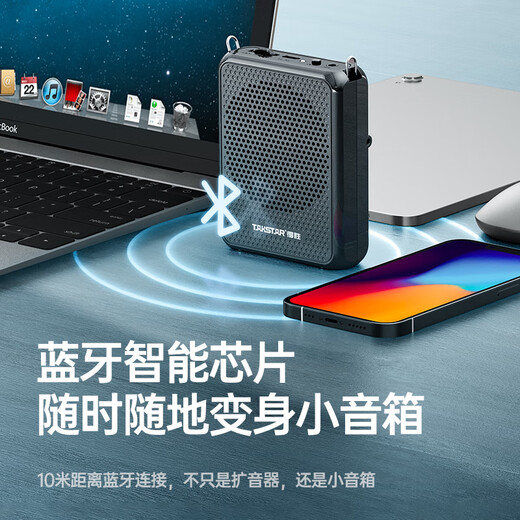 TAKSTAR E300mini wireless little bee loudspeaker for teachers, Bluetooth outdoor tour guide speaker, lecturer speaker, black