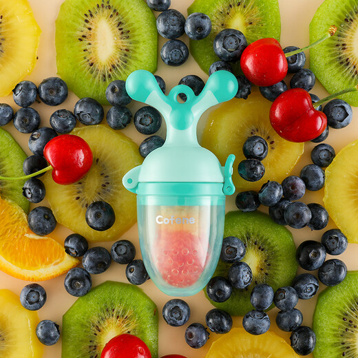 Cofene Bite Baby Food Bite Bag Fruit and Vegetable Teether Baby Fruit Food Complementary Pushable Pushable Bite Water Green (Size + L) + Anti-drop Chain
