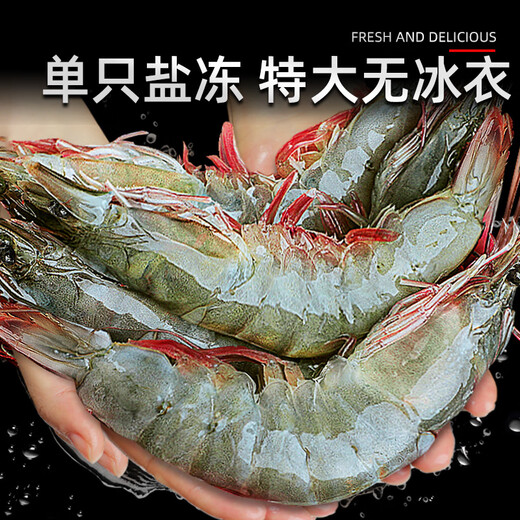 North Bay Shrimp Qingdao Prawn Fresh Frozen Basic Shrimp Shrimp Seafood Water Produced Fresh White Shrimp Green Prawn Sea Shrimp Prawn Salt Frozen Prawn 3.3Jin Jin equal to 0.5kg (net weight) 15-17cm Single frozen without ice coating