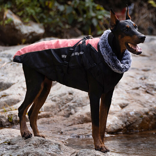 Super durable dog clothes for winter for large dogs, warm golden fur-edged shepherds, Doberman clothes, 2025 windproof and snowproof cotton coat, grapefruit red, 3XL size (chest 64, back length 52)