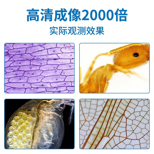 Miote children's microscope student high magnification professional 2000x portable bioscience experiment gift set with screen blue (2000x LCD screen) + 35 specimens + spree