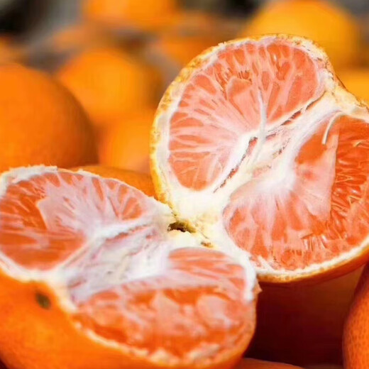 京鲜生 浙江涌泉蜜桔 净重2.5-3斤 大果70-85mm 生鲜水果 源头直发包邮