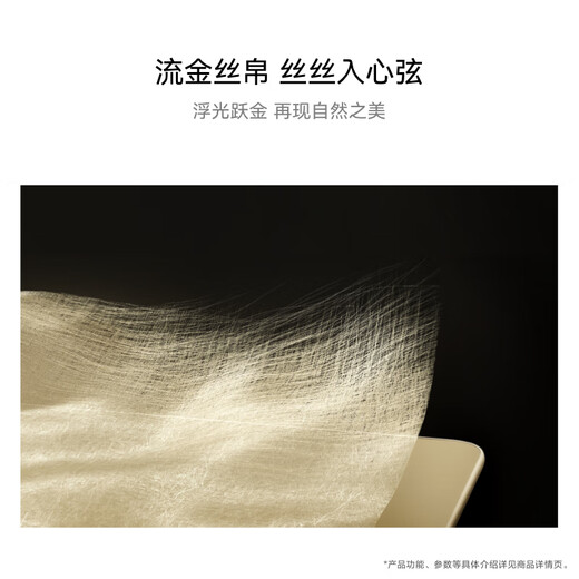 HUAWEI MatePad Pro 12.2英寸流金典藏版华为平板电脑双层OLED全面屏办公学生学习16G+1TB流金 SIM卡版