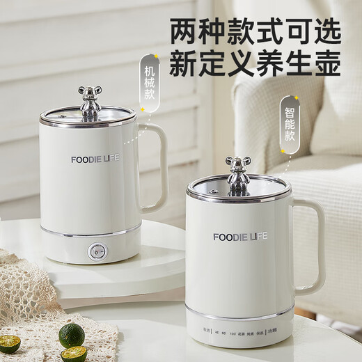 Lehigua Mini Health Cup Health Pot Office Tea Maker Intelligent Kettle Insulation Integrated Fully Automatic Constant Temperature Electric Kettle Portable Electric Boil Cup Electric Stew Cup Boil Water Cup 0.8L Multifunctional Health Cup Mechanical Model