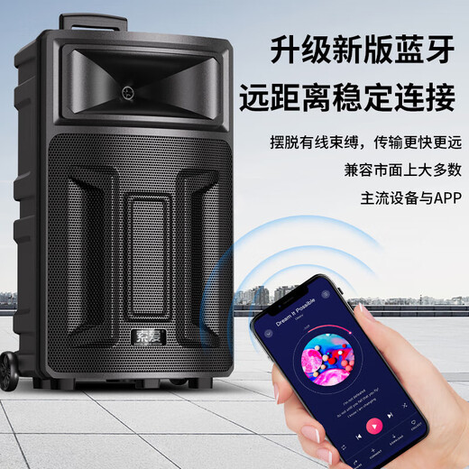 Sony Ericsson (soaiy) Q28V square dance sound card audio high-power subwoofer portable outdoor karaoke electric guitar instrument speaker Bluetooth rod microphone amplifier dual microphone