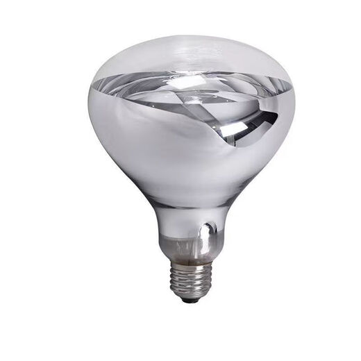 Central Products Infrared 275W heating lamp bathroom heater light bulb waterproof light bulb unit