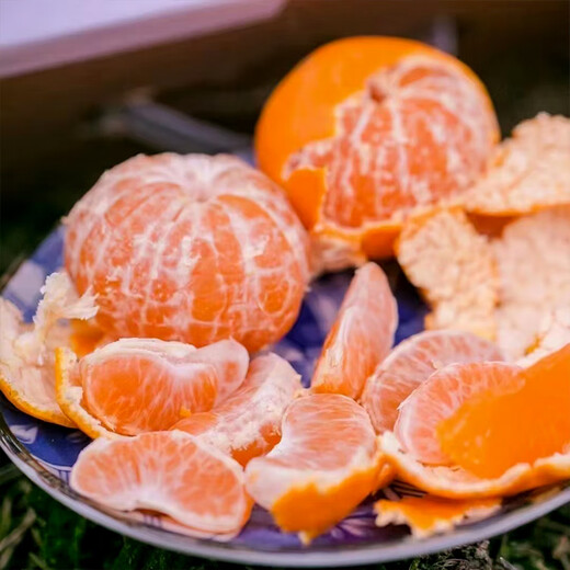 京鲜生 浙江涌泉蜜桔 净重2.5-3斤 大果70-85mm 生鲜水果 源头直发包邮