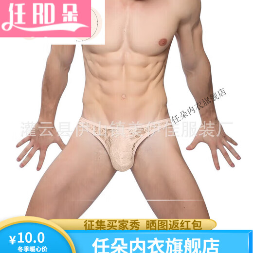 Renduo European and American men's lace thong underwear sexy underwear transparent 1 skin color L