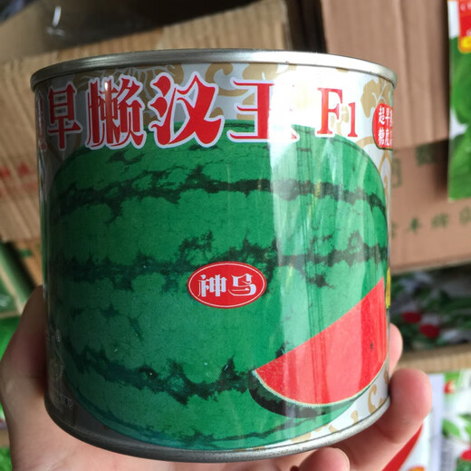 Chunzhiyun four-season watermelon seeds early-maturing giant sweet king seedless unicorn watermelon seeds fruit seeds Green Dragon Overlord original