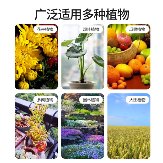 Guoguang 50% carbendazim fungicide orchid flower plant soil disinfection black spot white powdery leaf spot pesticide fungicide