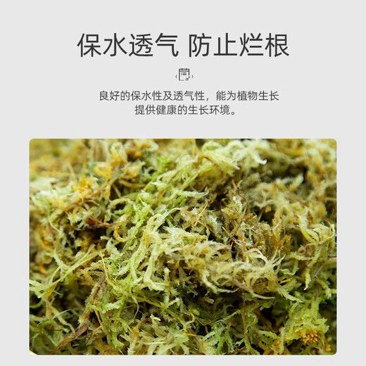 Stanley (STANLEY) sphagnum moss Phalaenopsis special soil dry moss nutritious soil for growing orchids high quality aragonite dendrobium orchid turtle