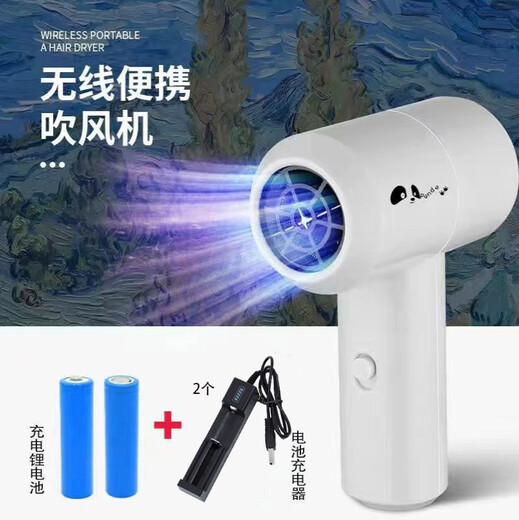 Cuervo household hair dryer wireless rechargeable lithium battery high power unplugged wireless hair dryer dormitory student electric dryer blowing small bass Sky Blue + 2 lithium batteries + 2 charger USB interface