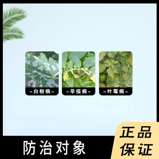 Syngenta Mitris triflufenac leaf spot target powdery mildew fungicide pesticide 100ml*1 bottle