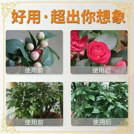 CLCEY potassium dihydrogen phosphate fertilizer for flowers special foliar fertilizer potash fertilizer phosphate fertilizer flower fertilizer general fertilizer for flowers, fruit trees and vegetables potassium dihydrogen phosphate di Jin Jin equal to 0.5 kg in bulk 1