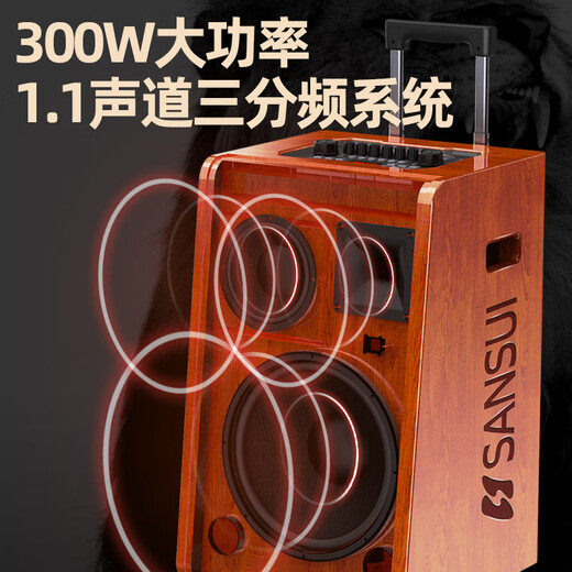 SANSUI (SANSUI) E08E12E15 outdoor trolley mobile karaoke square dance singing trolley speaker wireless Bluetooth indoor and outdoor high-power performance performance expansion activity sound G08 solid wood box + Bel Canto microphone