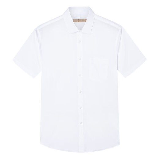Talented men's shirt cotton breathable 25 spring and summer business white shirt short-sleeved professional top multi-color formal solid color