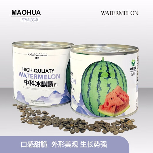 Zhongke Maohua melon and fruit seeds Zhongke Bingqilin watermelon seed improved 8424 Jingxin type replaces Meidu watermelon variety with crack resistance Zhongke Bingqilin 3000 capsules/box special for seedlings