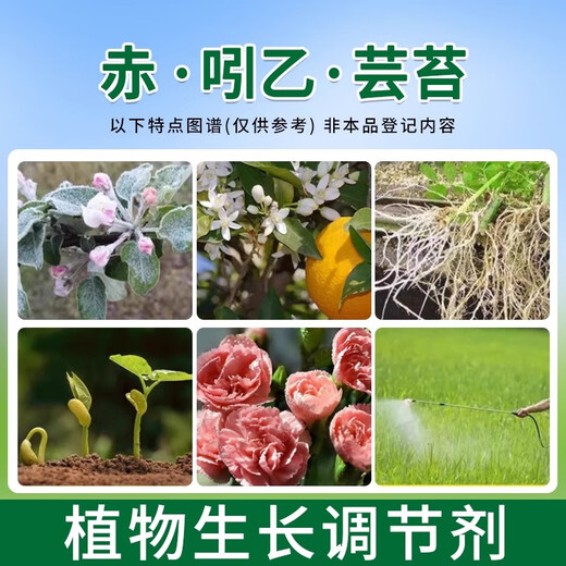 Bihu Germany imports Bihu Chi B Brassica vegetable and flower antidote to damage production and increase plant growth regulator pesticide Chi B Brassica 50g*1 bottle