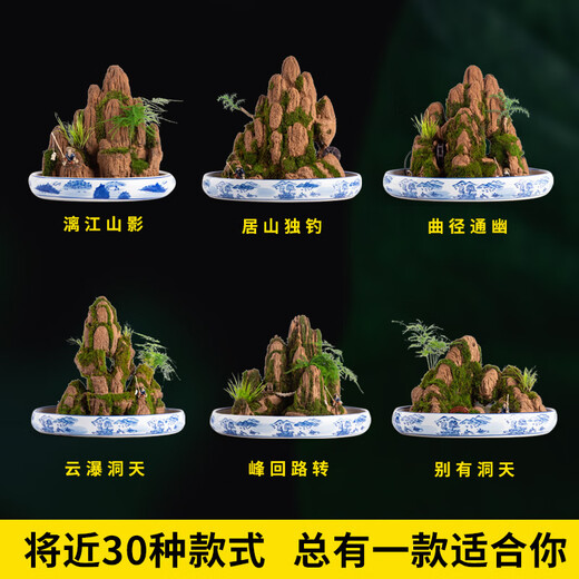 SMVP boutique indoor natural absorbent stone landscaping water stone ornaments landscape bonsai flowing water rockery micro landscape Danya Lingyun (complete set)