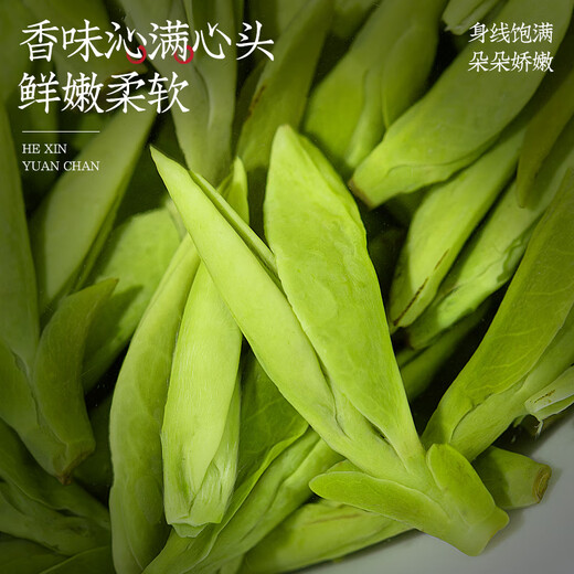 Fumingyuan té verde té Longjing sabor a frijol Mingqian 2025 nuevo té enlatado 60g té tierno de primavera para usted