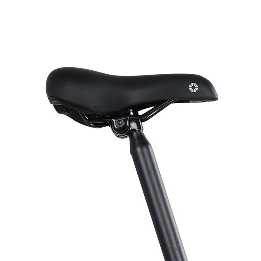 DAHON SF Express folding bicycle 20-inch 6-speed aluminum alloy adult commuter bicycle KBA061 black