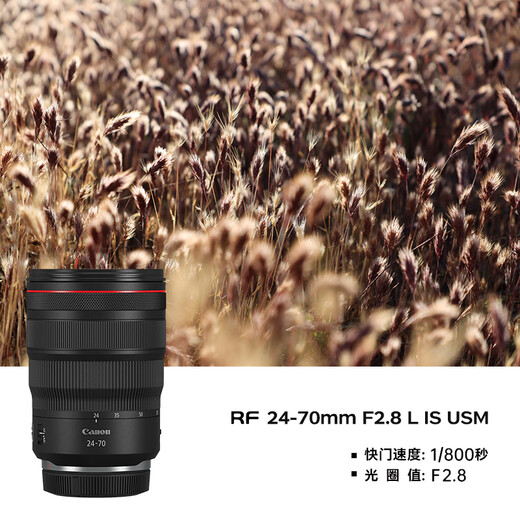 Canon r5 professional mirrorless camera, bird shooting equipment, digital camera, eos r5 full frame Vlog camera, 8K video shooting, place an order for Labubu & Jindou R5 disassembled body + RF24-70 F2.8 lens, package 1, Canon camera dedicated 4K video recording card/photography tripod