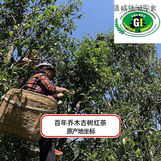 Valerui Ancient Tree Black Tea 500g Bag Yunnan Fengqing Alpine Ancient Tree Yunnan Black Tea Strong Flavor Loose Tea Wilderness Ancient Tree Red 500g
