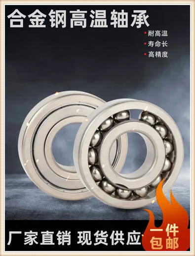 High temperature resistant 800 alloy steel material 970207 bearing 970208 970210 970211 970212 seal 970207ZZ alloy steel seal
