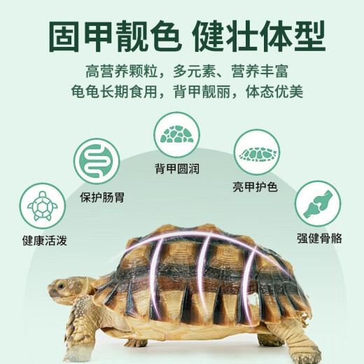 NaiChong small turtle feed universal turtle food fish dried shrimp dried freshwater Brazilian grass turtle feed particles special nutritional food six-in-one turtle food 250g barrel medium grain 3mm [suitable for turtles 6-15 cm]