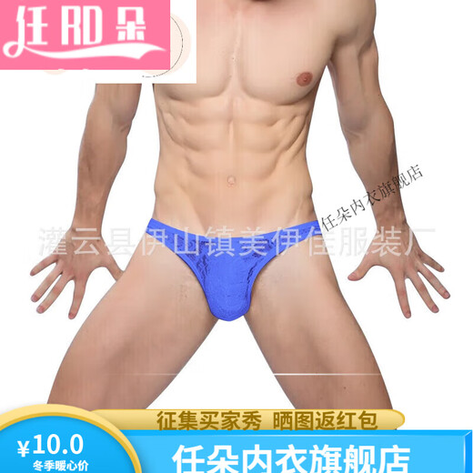 Renduo European and American men's lace thong underwear sexy underwear transparent 1 skin color L