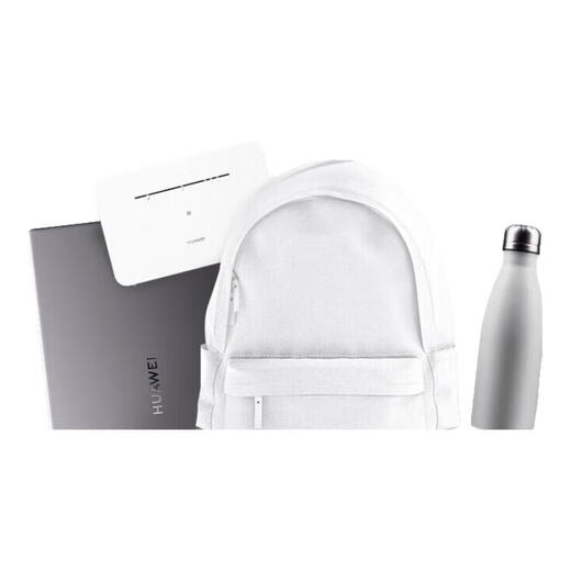 华为【天际通版】4g路由器5/2pro插卡b535企业工业级5g手机可用全网通CPE转有线wifi宽带移动随身无线 b535-836  双网双通丨4个千兆网口 天际通