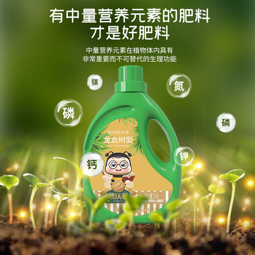 Devodo dragon blood tree special plant nutrient solution 2.5L gardening green plant flower potted flower fertilizer hydroponic planting foliage fertilizer