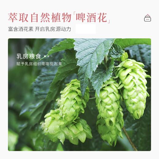 Pink Princess Feng Yun Cream Breast Beauty Product Official Quick Natural Massage Cream Essential Oil Stick Beauty Cream Breast Care Bottle Pack Trial Pack Selected Premium Products