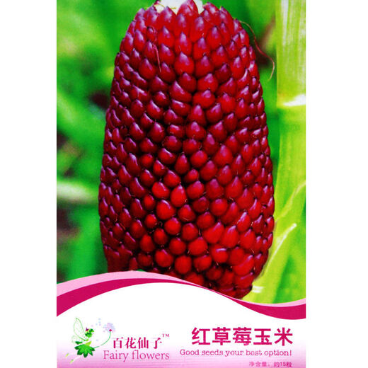 Strawberry, fruit, corn seeds, pineapple and corn seeds, complete collection of ornamental vegetables for field planting in all seasons, wholesale of corn seeds, red strawberry corn/10 original grains