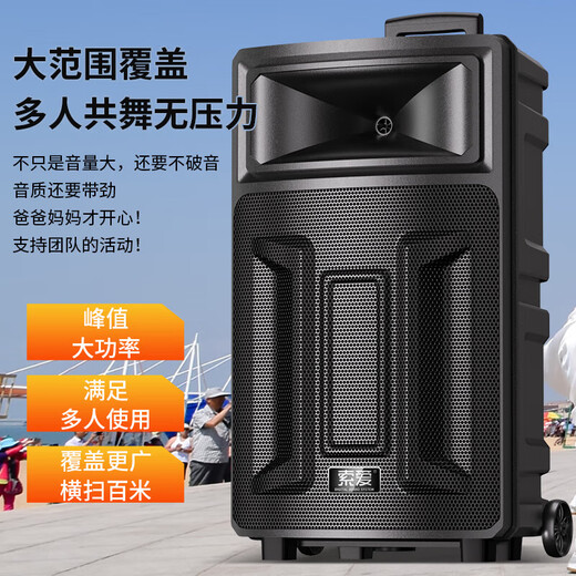 Sony Ericsson (soaiy) Q28V square dance sound card audio high-power subwoofer portable outdoor karaoke electric guitar instrument speaker Bluetooth rod microphone amplifier dual microphone