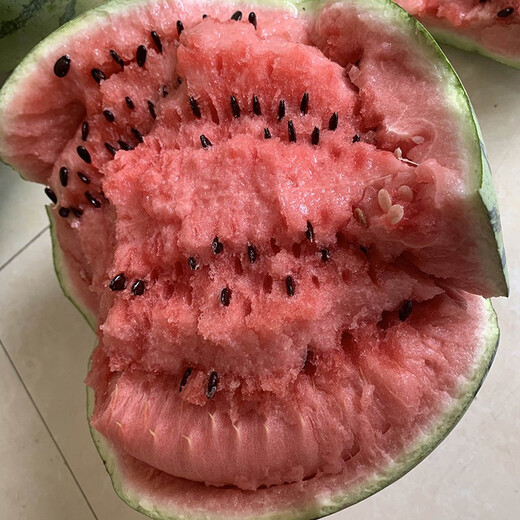 Zhongke Maohua Lazy Man Sweet King Watermelon Seed Round Jingxin Type is more resistant to cracking than 8424, super sweet red flesh, thin skin, sand pulp Lazy Man Sweet King 100g/box, round, about 1600 seeds